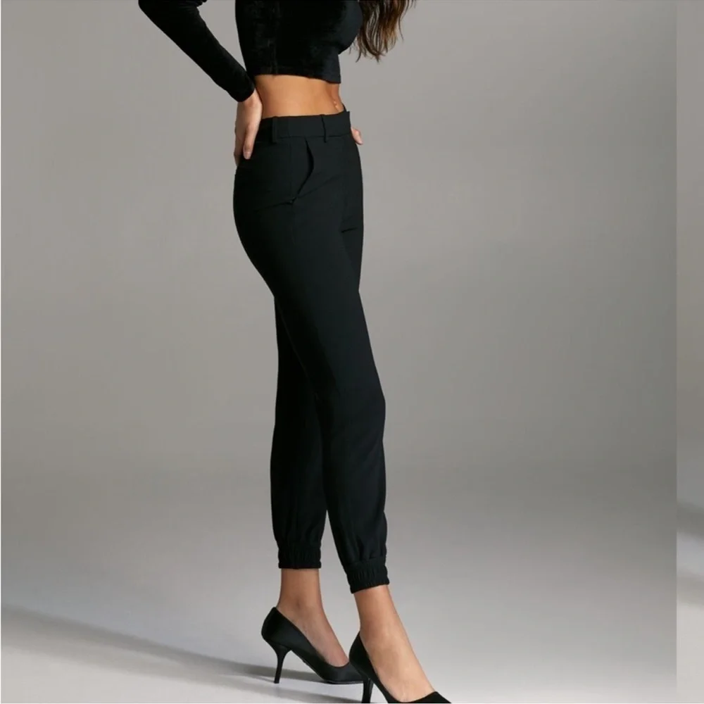 Aritzia Babaton Atelier Wade pant black jogger